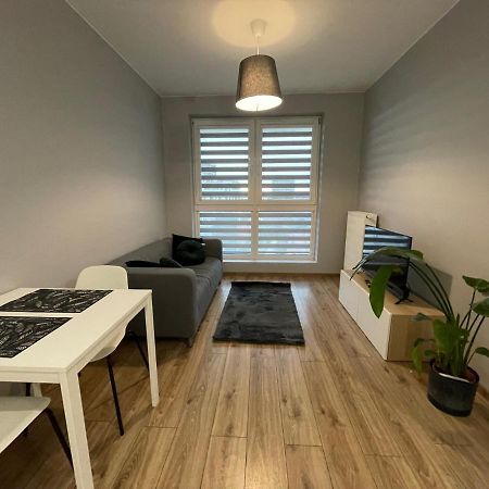 Vip Apartamenty Witolda Rzeszów Zewnętrze zdjęcie