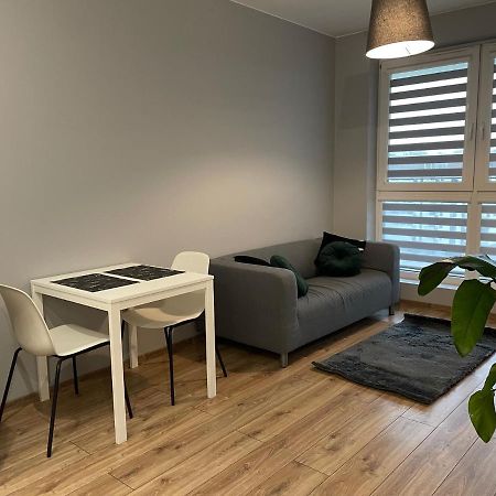 Vip Apartamenty Witolda Rzeszów Zewnętrze zdjęcie