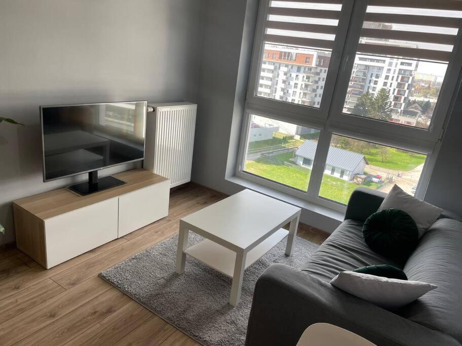 Vip Apartamenty Witolda Rzeszów Zewnętrze zdjęcie